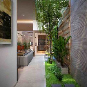 Thiết kế thi công tiểu cảnh giếng trời