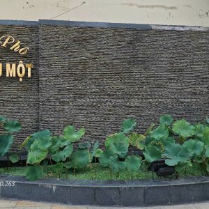 Thiết kế thi công tường thác