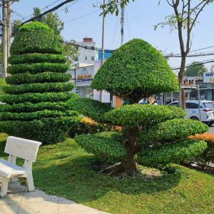 Cung Cấp Cây kiểng, Hoa Cỏ